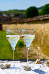 Tasting of grand cru sparkling white wine with bubbles champagne with view on old houses of Oger, small village with grand cru vineyards, France.