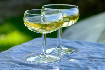 Tasting of premier cru sparkling white wine with bubbles champagne with view on green pinot noir, meunier vineyards of Hautvillers, France.