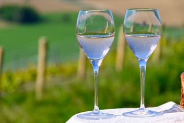 Tasting of premier cru sparkling rose wine with bubbles champagne with view on green pinot noir, meunier vineyards of Hautvillers, France.