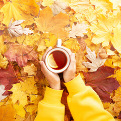 Autumn concept - caucasian woman's hands hold a mug of black tea with lemon on a carpet of fallen autumn leaves, wearing yellow hoodie, top view