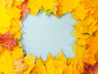 Naklejka na ściany i meble Autumn concept - background of autumn fallen leaves of different colors with a place for text in the middle, blue, copy space
