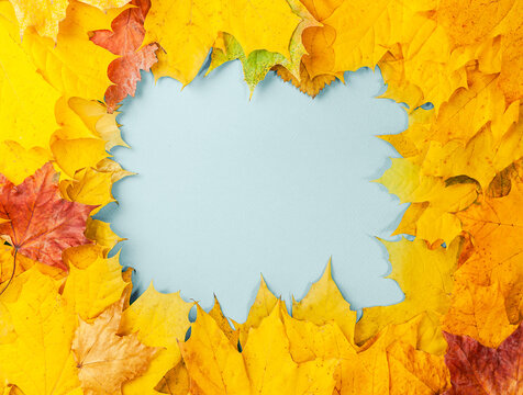 Autumn concept - background of autumn fallen leaves of different colors with a place for text in the middle, blue, copy space