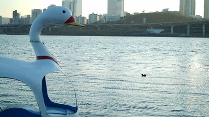 Duck boat and ducks floating on the river in Ttukseom, Seoul, South Korea