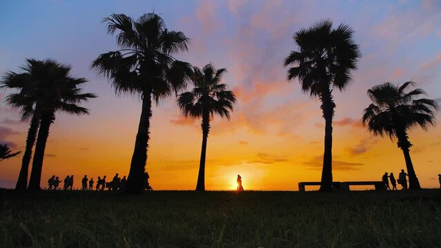 Silhouettes of palm trees on the embankment of the resort town at sunset. People are walking along the waterfront against dramatic warm sky with setting sun: slow motion. Summer and tropical landscape