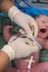 doctor performing measurement procedure on newborn