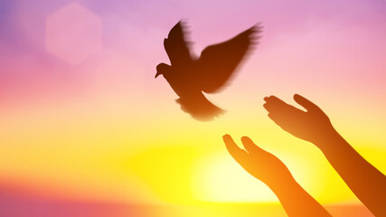 Silhouette pigeon flying out two hands in air vibrant sunlight sunset sunrise background. Freedom...