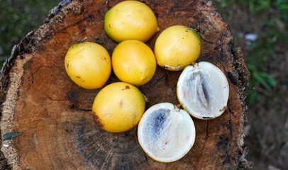 Abiu, Fruta Tropical originário da Amazônia.