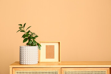 Green houseplant with frame on shelf near beige wall