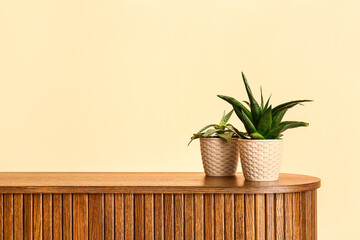 Green houseplants on shelf near beige wall