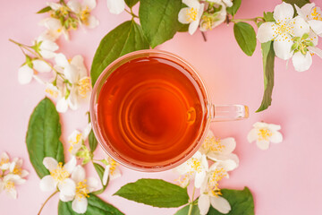 Glass cup of tea and beautiful jasmine flowers on pink background