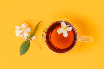 Glass cup of tea with beautiful jasmine flowers on color background