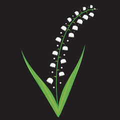 Spring sprig of lily of the valley.