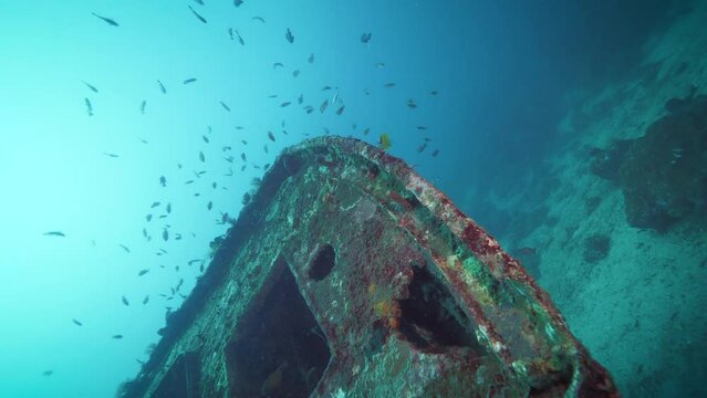 Schools of fish surrounding sunken ship on sea bottom