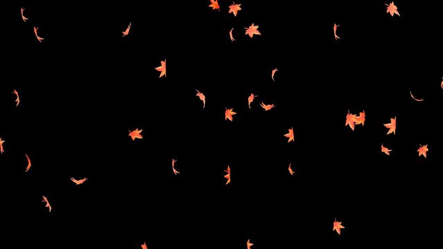 autumn leaves. Small leaves fall off. Animation material with a transparent background.