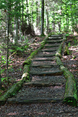 Hiking trail stairs made of round wood logs covered with green moss.