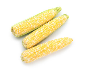 Fresh corn cobs on white background