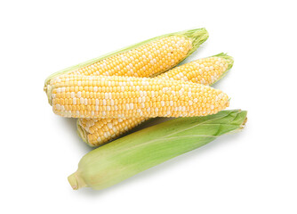 Fresh corn cobs on white background