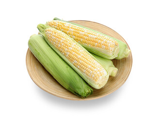 Plate with fresh corn cobs on white background