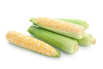 Fresh corn cobs on white background