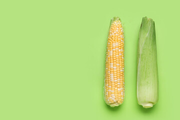 Fresh corn cobs on green background