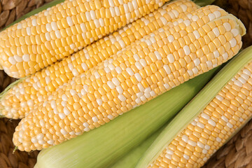 Fresh corn cobs in wicker basket, closeup