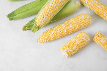 Fresh corn cobs on light background