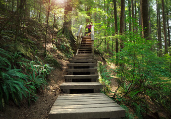 Female hiker in forest. Person enjoying view or taking a break at the top of a steep wooden staircase. Summer hiking in rainforest. North Vancouver, Baden Powell Trail, BC, Canada. Selective focus.