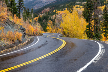 A wet mountain road winding through the fall colors.