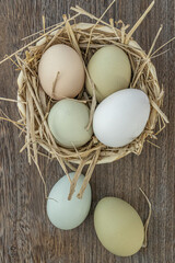 eggs in basket
