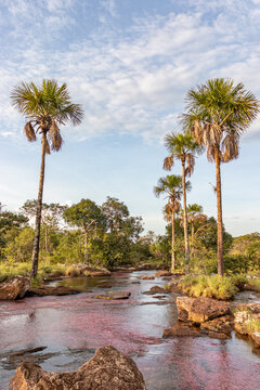 river of 7 colors