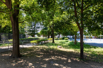 東所沢公園