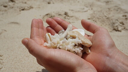 Hands full of the ocean