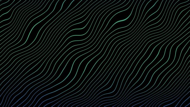 zebra skin pattern animation background