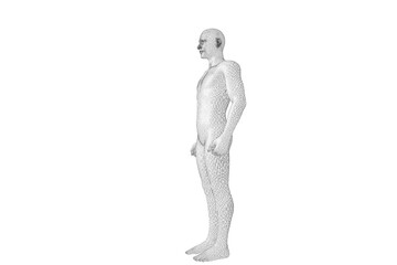 Digital png illustration of 3d model of human on transparent background