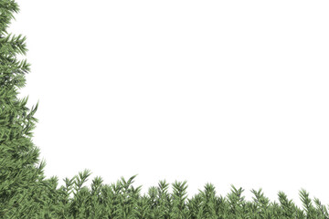 Digital png illustration of green plants on transparent background