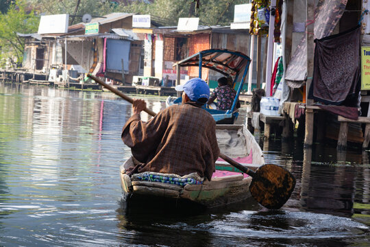 Shikara boat ride in Dal Lake, Kashmir, India