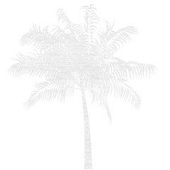 Naklejka premium Digital png illustration of white palm tree on transparent background