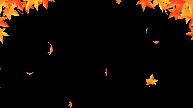 autumn leaves. leaves fall off. Animation material with a transparent background.