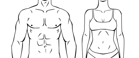 male and female torsos line drawing outline style front view vector illustration - 626453847