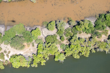 Aerial shot of the banks of the upper Zambezi river, showing a group of elephants grazing in the...