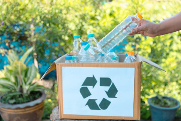 Plastic bottle waste for recycling, reuse concept. Volunteers store plastic bottles in cardboard...