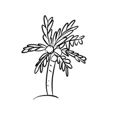 black and white flower