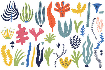 Big set cute hand drawn sea algae isolated on white. Underwater seaweed decorative doodle funny collection ocean flora © Anna Drozdova