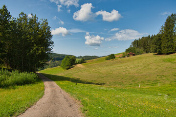Fototapeta na wymiar Landschaft bei Biederbach im mittleren Schwarzwald