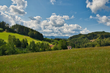 Fototapeta na wymiar Landschaft bei Biederbach im mittleren Schwarzwald