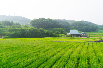 里山の田園風景
