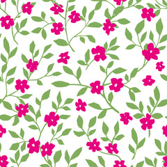 Flowers in blossom, twigs and blooming pattern