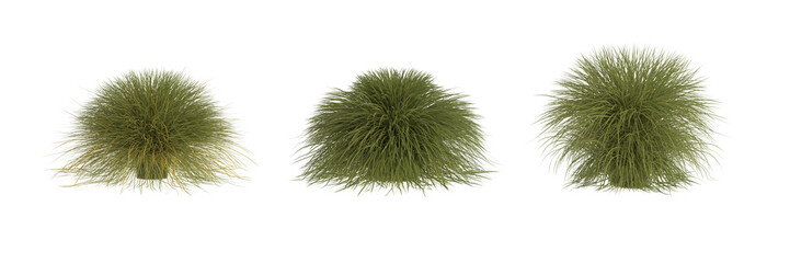 Set of isolated fluffy grass bushes. Front view. 3d render	