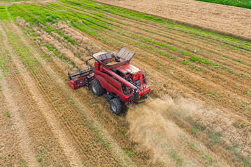 Modern red combine harvesting wheat