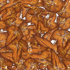 pattern with leaves Abstract brown  Color Skeleton Leaf for background and texture 